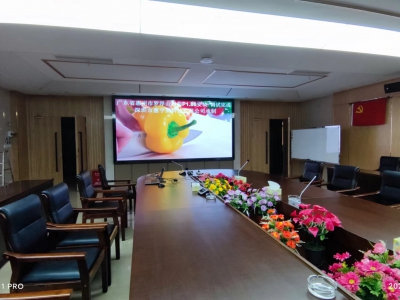 惠州羅浮山國藥會(huì)議室p1.86小間距LED顯示屏完成